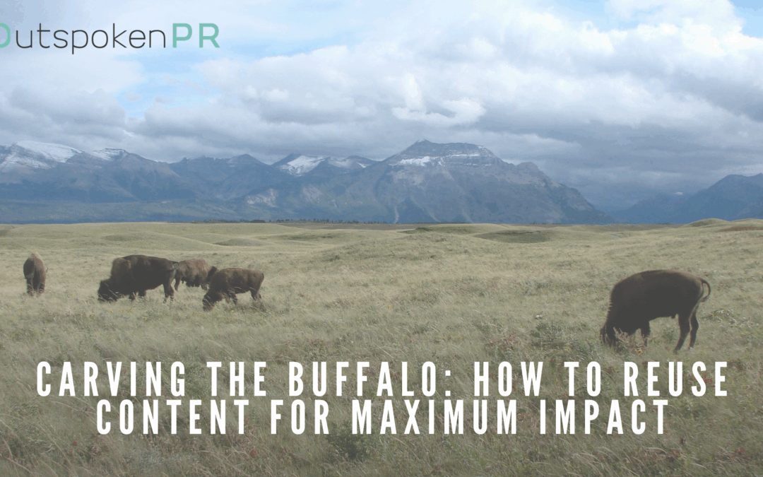 Carving the buffalo: how to reuse content for maximum impact